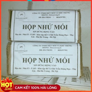 Hộp nhử mối làm bằng gỗ thông - dẫn dụ mối .
