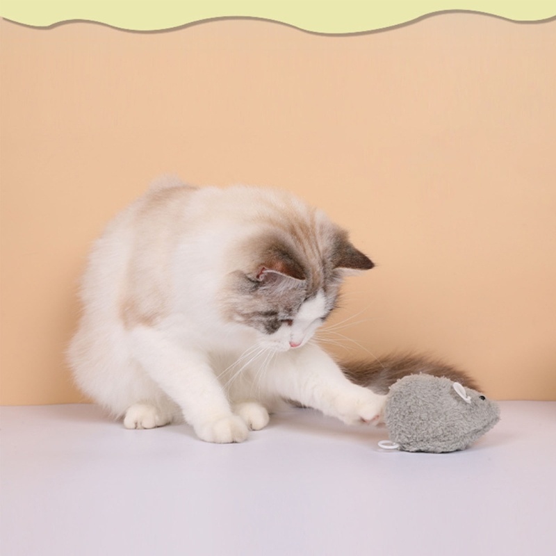 Đồ Chơi Hình Chú Chuột Lên Dây Cót Dễ Thương Cho Mèo Cưng