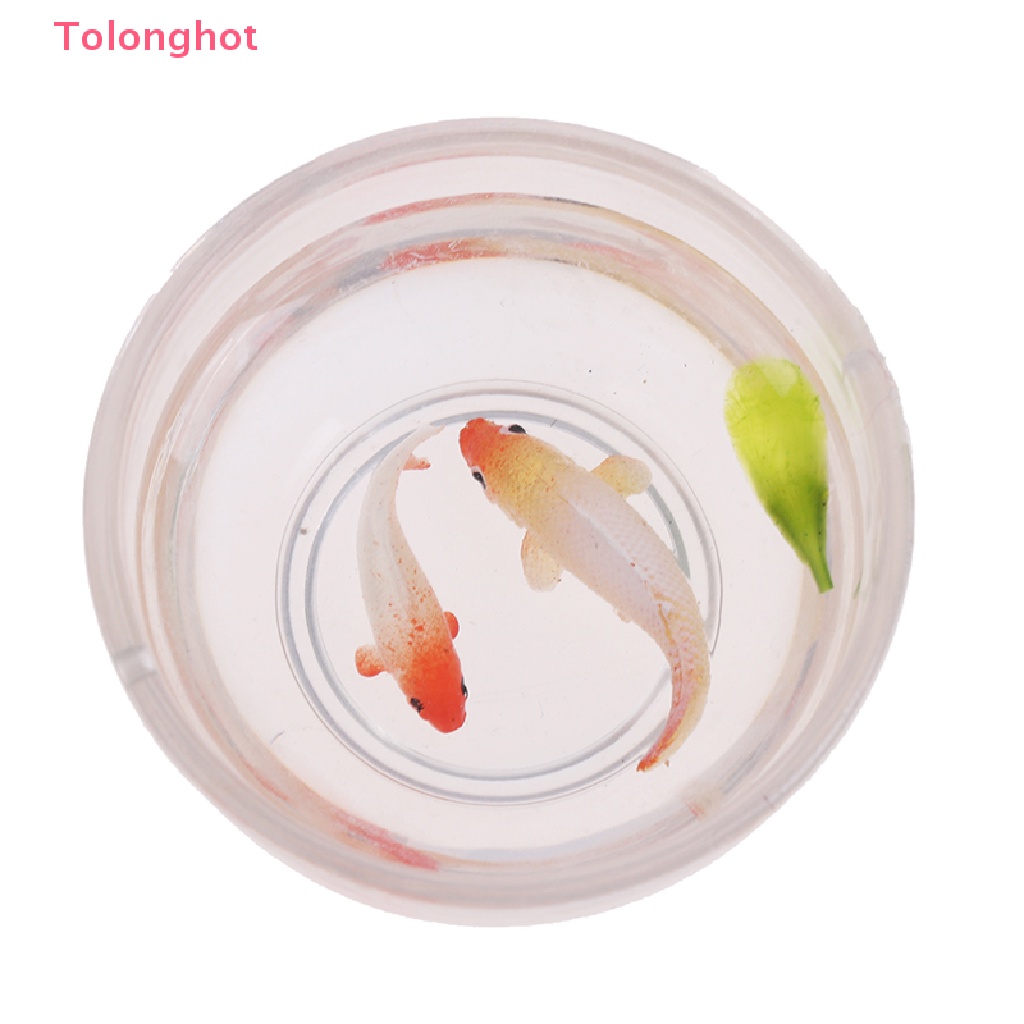 Bể Cá Mini Tỉ Lệ 1: 12 Dùng Trang Trí Nhà Búp Bê