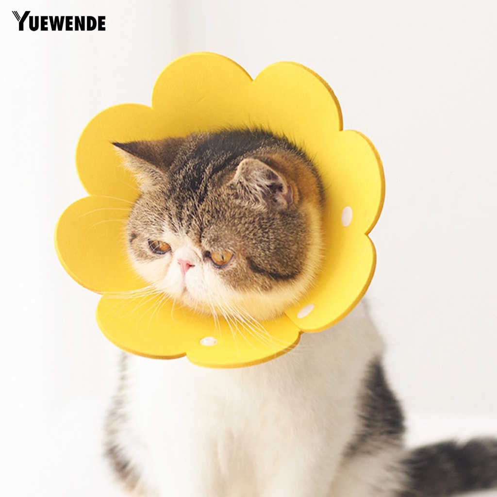 Vòng Cổ EVA In Hoa Bảo Vệ Cho Thú Cưng