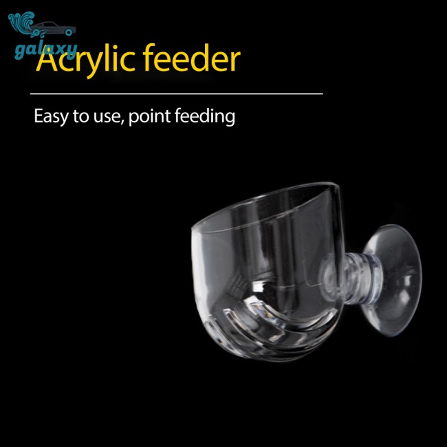 Galaxy Tô Thủy Tinh Trong Suốt Đựng Thức Ăn Có Giác Hút Mạnh