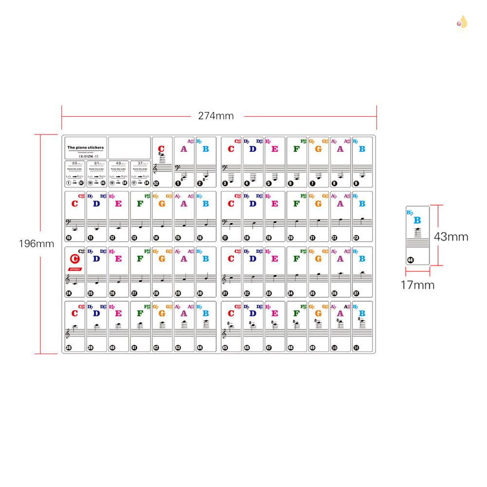 Miếng Dán Phím Đàn Piano 37 / 49 / 61 / 88 Trong Suốt Tháo Rời Được Dành Cho Trẻ Em Mới Tập Chơi