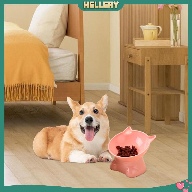 Tô Đựng Thức Ăn Dành Cho Thú Cưng Trong Nhà