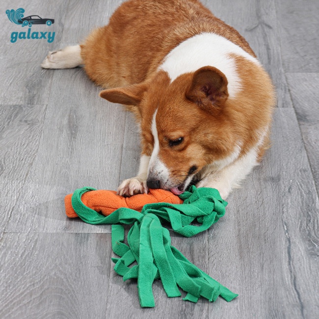 Galaxy Đồ Chơi Cà Rốt 2 Trong 1 Cho Thú Cưng