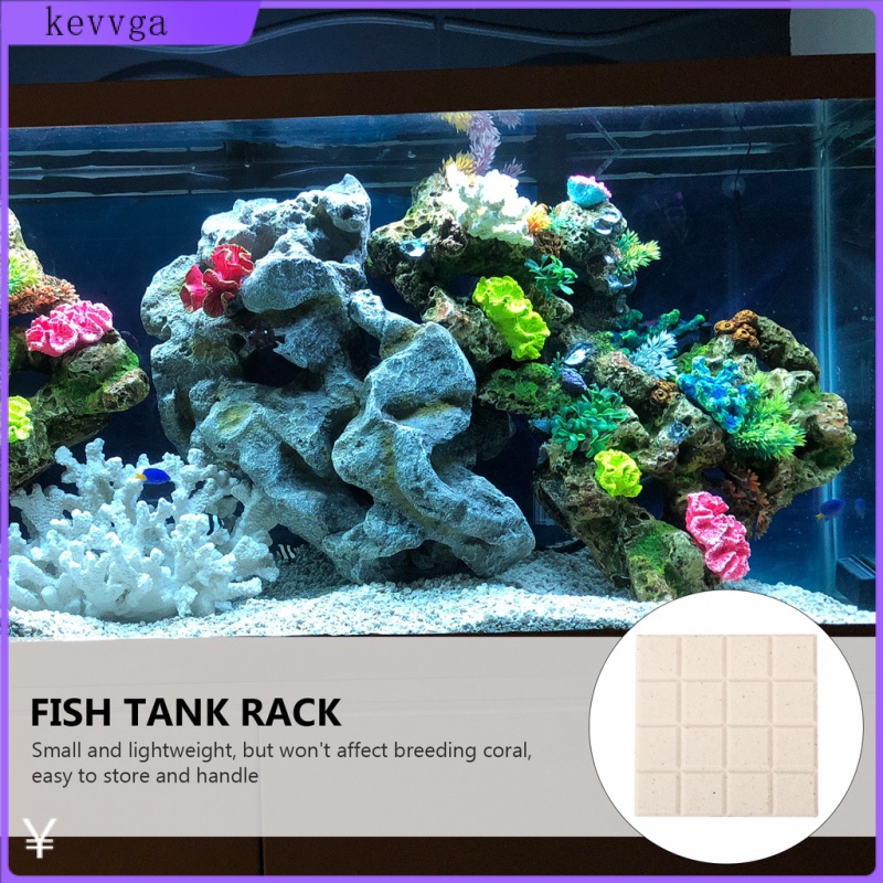 Set 10 Đĩa Sứ San Hô Hỗ Trợ Bể Cá