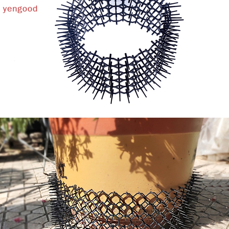 Thảm Gai Chống Chó Mèo / Mèo / Côn Trùng Tiện Dụng Cho Sân Vườn