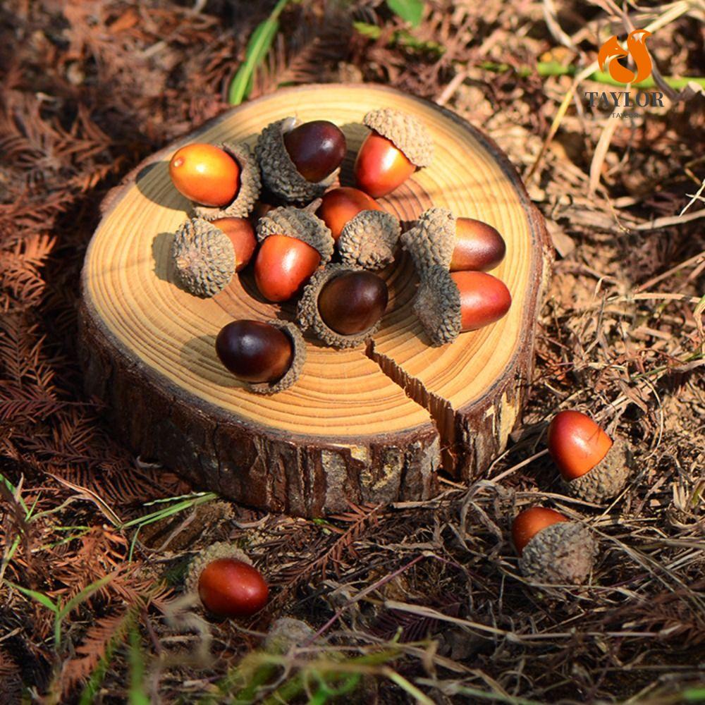 Hạt Ngô Nhân Tạo Dùng Trang Trí Tiệc Cưới TAYLOR1