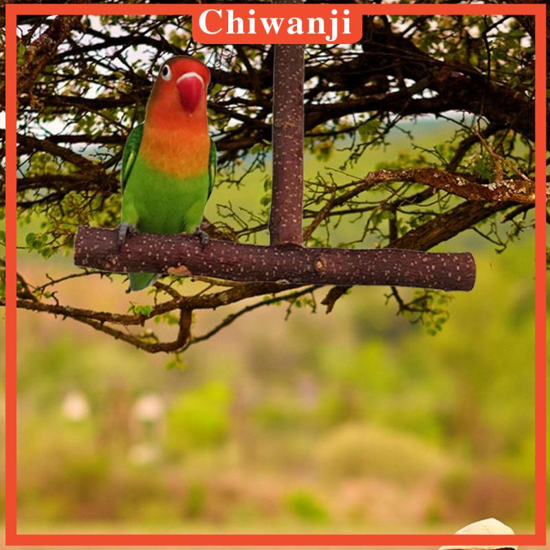 Giá Đỡ Đứng Bằng Gỗ Dành Cho Chim Vẹt Đứng