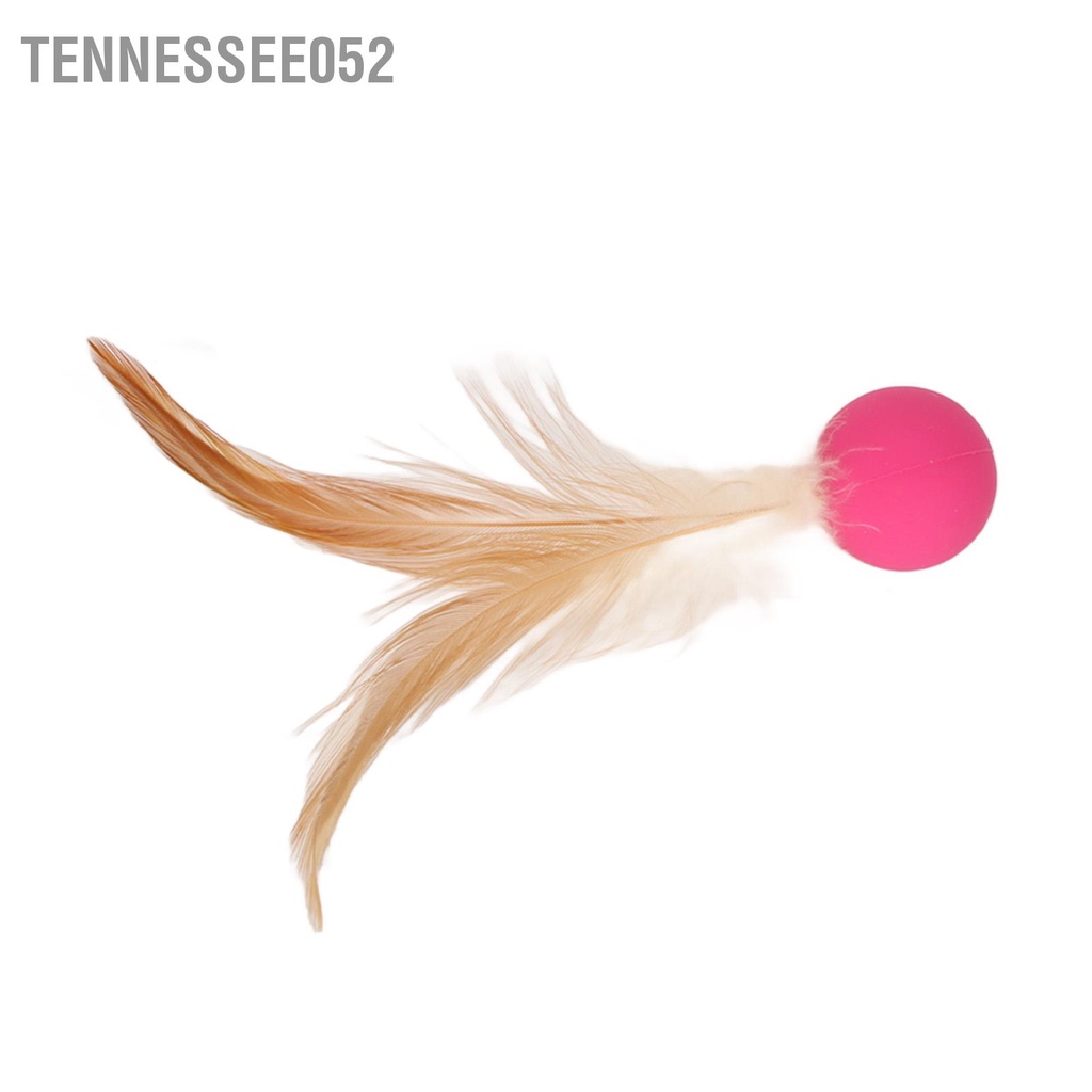 Tennessee052 3 Cái Cat Bouncy Ball Tương tác Soft Linh hoạt Balls with Feathers for Cats Kitten