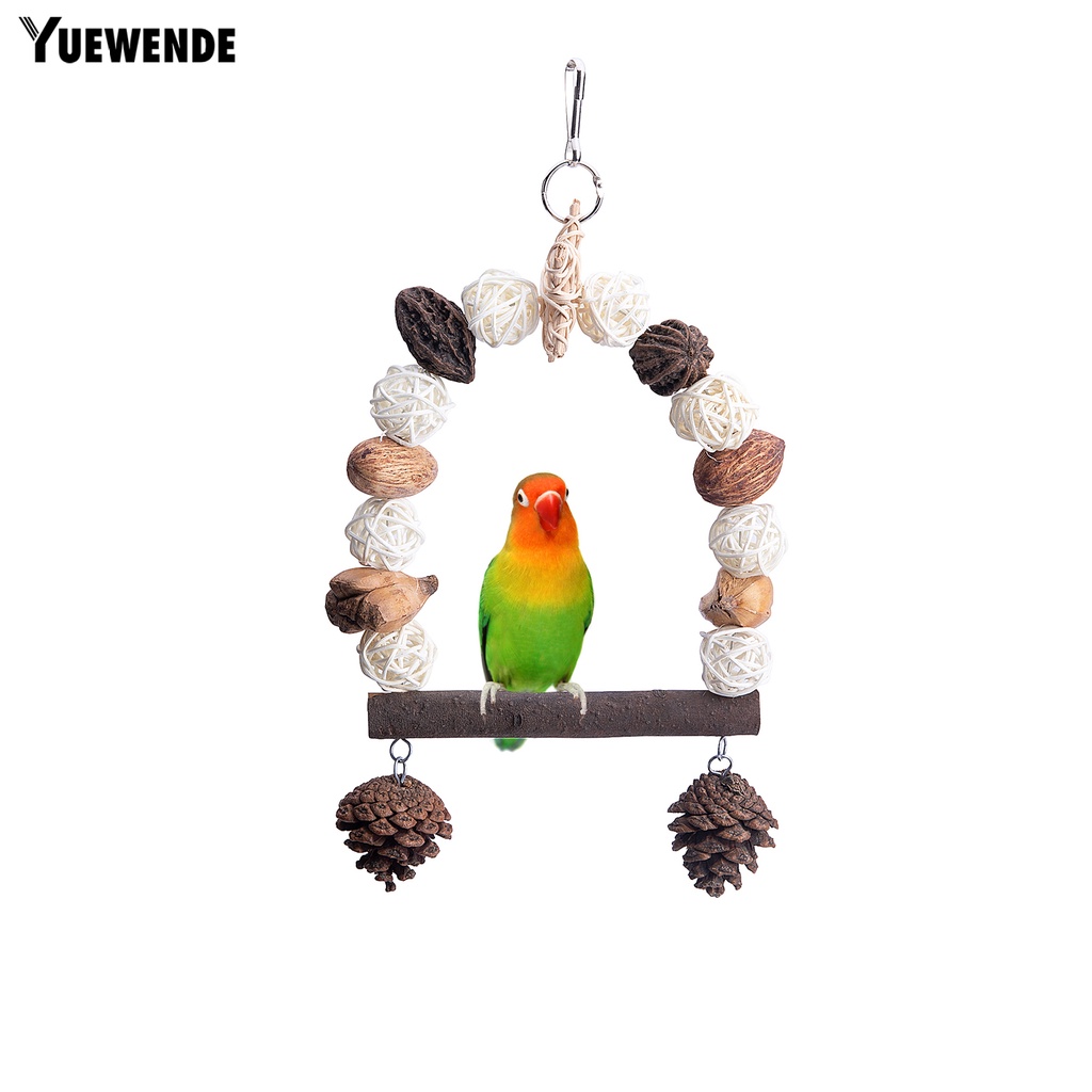 Đồ Chơi Treo Quả Thông Dành Cho Chim Vẹt