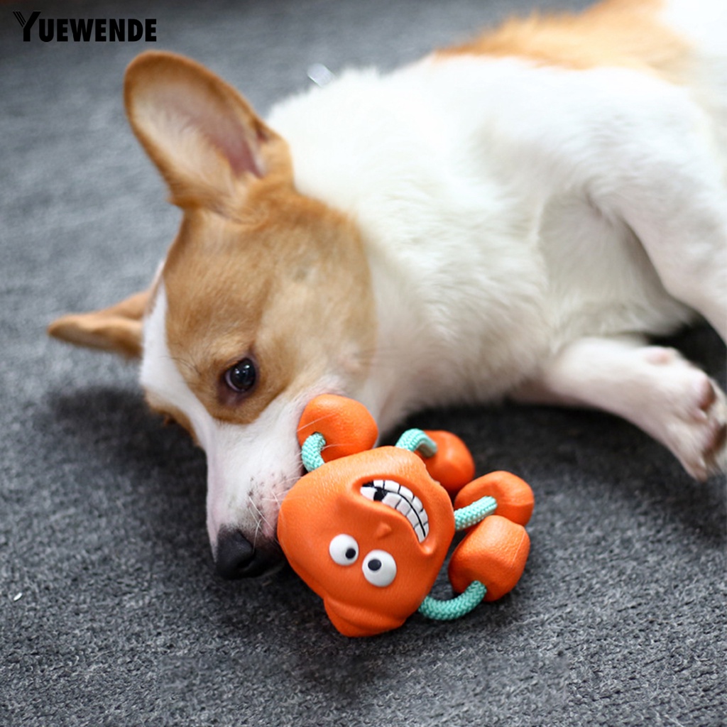 Đồ Chơi Huấn Luyện Thú Cưng Hình Hoạt Hình Có Âm Thanh Vui Nhộn