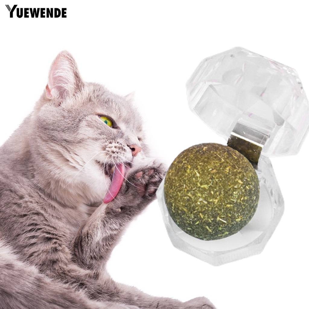 1 Bộ Bóng Đồ Chơi Bằng Chất Liệu Tự Nhiên Chống Cắn Kèm Hộp Đựng Cho Mèo Cưng