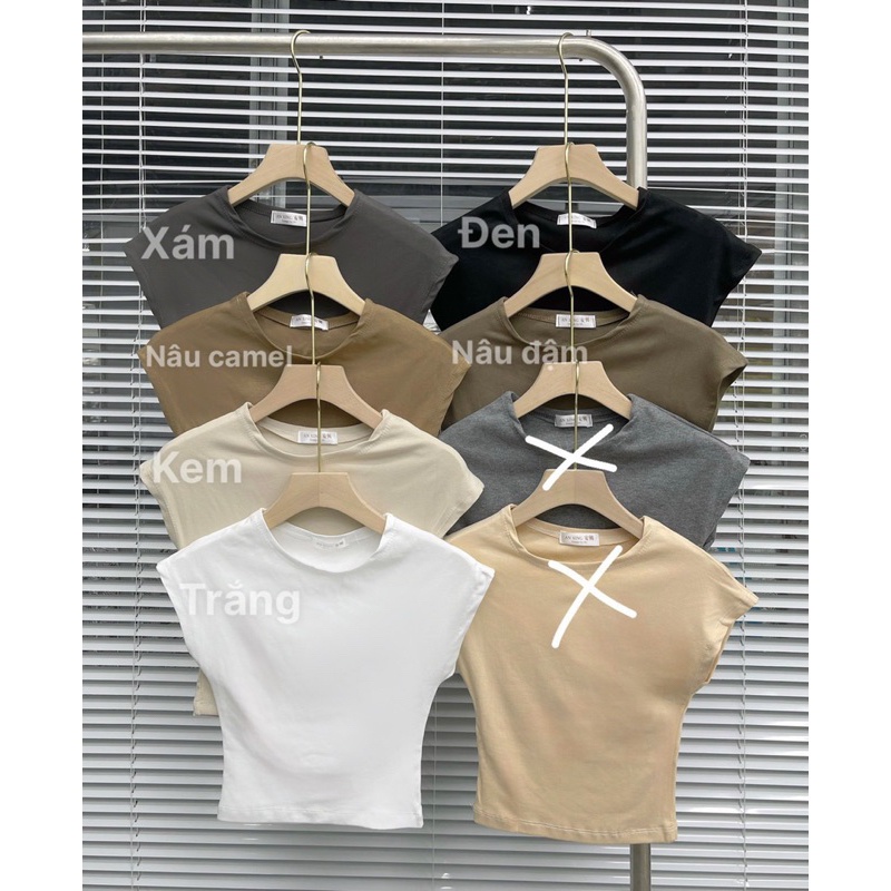 Áo thun croptop trơn cổ tròn tay hến