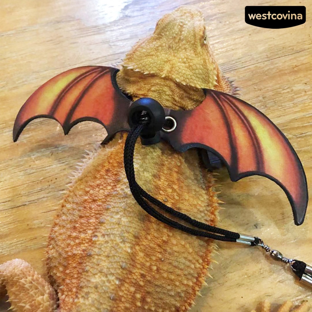 [COD]♞Dây Dắt Thú Cưng Đi Dạo Bằng Da Giả Có Thể Điều Chỉnh