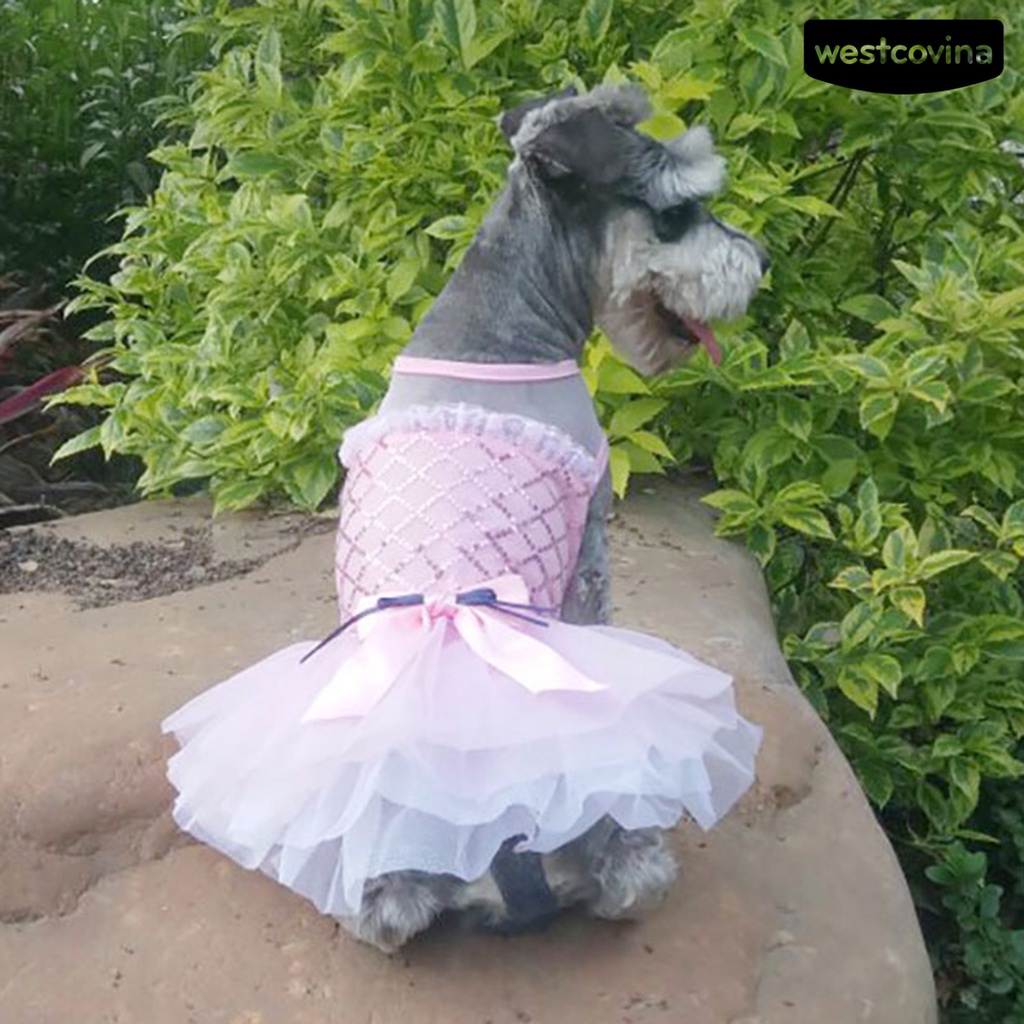 [COD]♞Đầm Không Phai Họa Tiết Chấm Bi Thắt Nơ Xinh Xắn Thoáng Khí Cho Cún Cưng