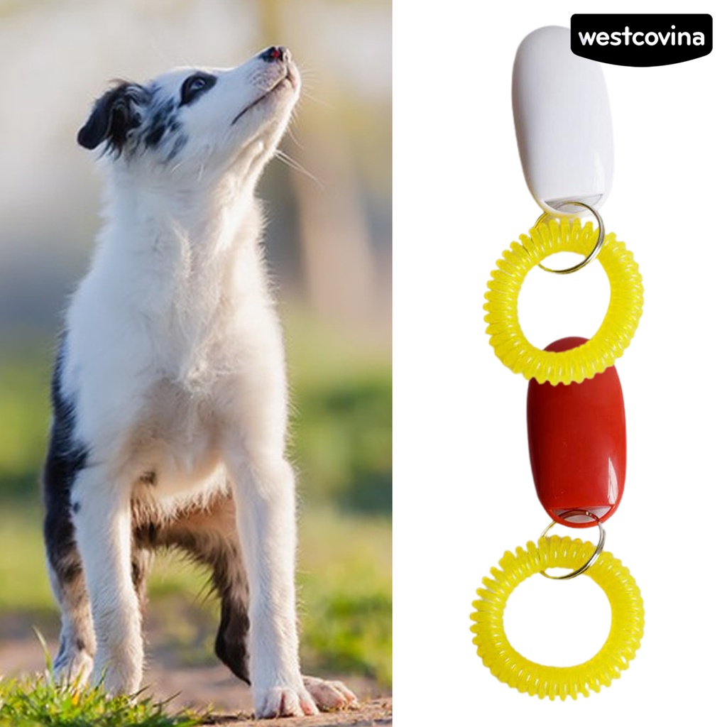 [COD]♞Dụng Cụ Huấn Luyện Thú Cưng Chống Mòn Không Phai Màu Tiện Dụng