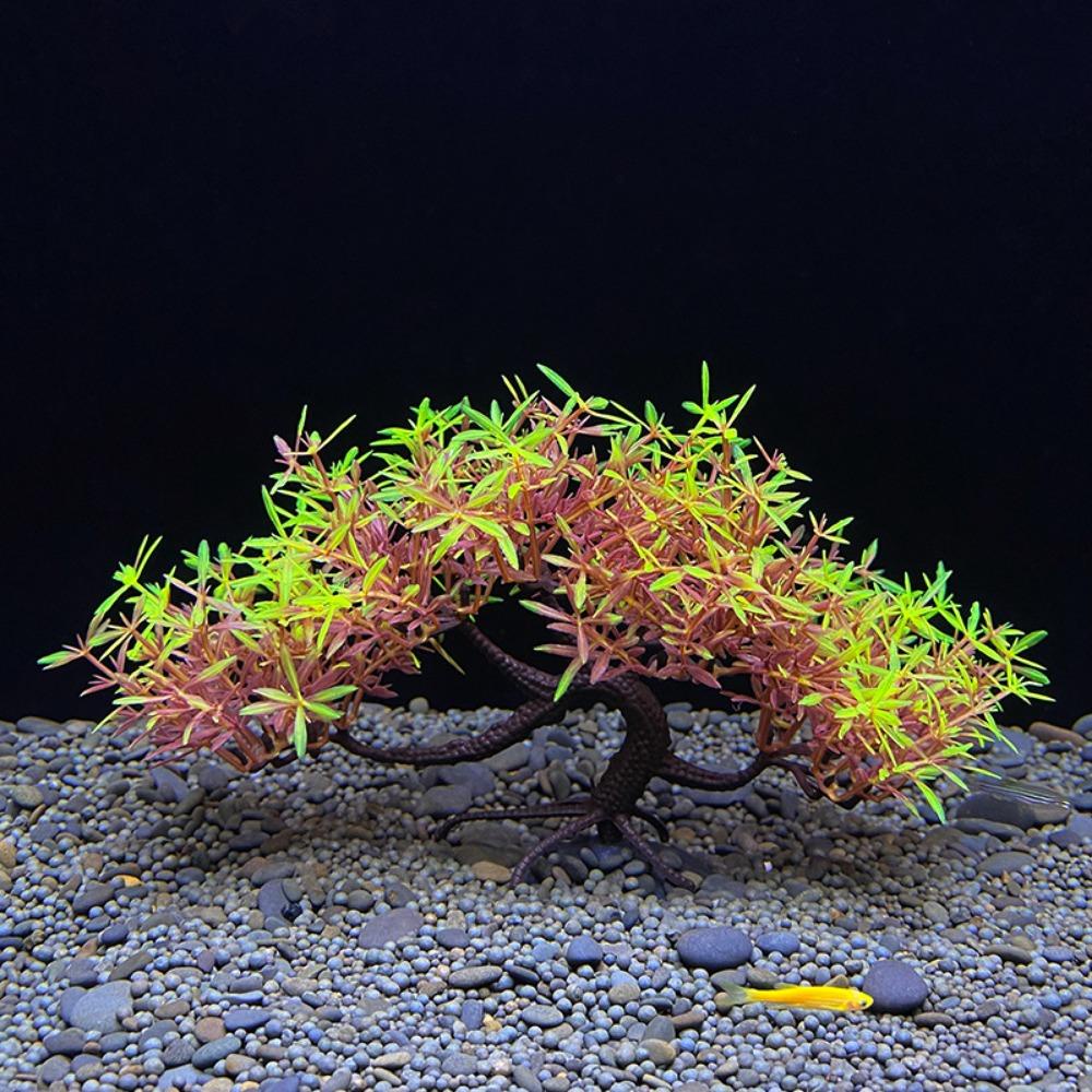 Cây Thông Giả Bằng Nhựa Trang Trí Bể Cá