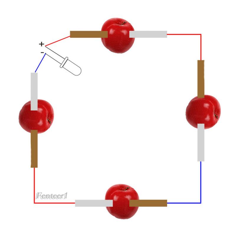 Bộ Đồ Chơi Thí Nghiệm Khoa Học Chạy Bằng Pin Trái Cây Dành Cho Bé