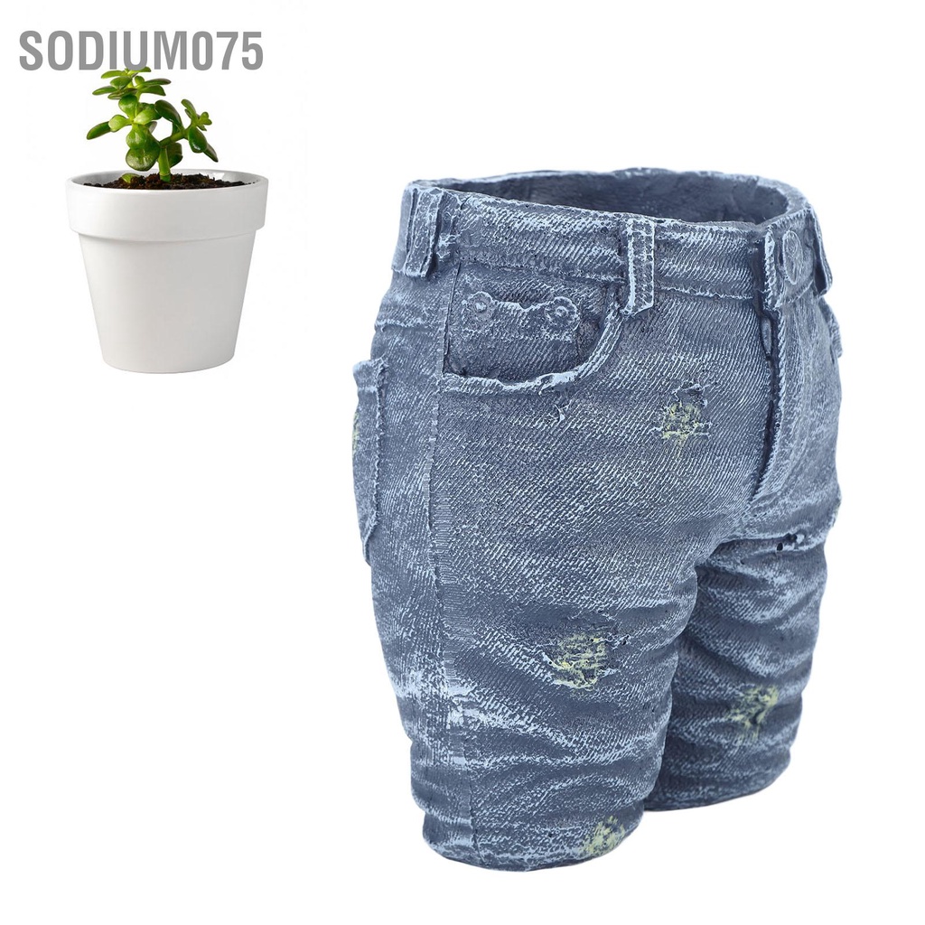 Sodium075 Sáng Tạo Hoa Denim Trang Trí Nồi Quần Áo Cho Vườn Thủ Công