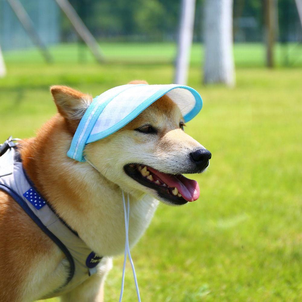 AARON1 Mũ Bóng Chày Chống Mài Mòn Có Lỗ Tai Có Thể Điều Chỉnh Cho Thú Cưng