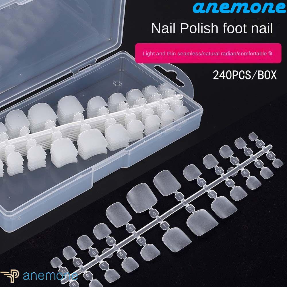 ANEMONE Bộ 240 Móng Chân Giả Trong Suốt Siêu Mỏng Tháo Rời Được
