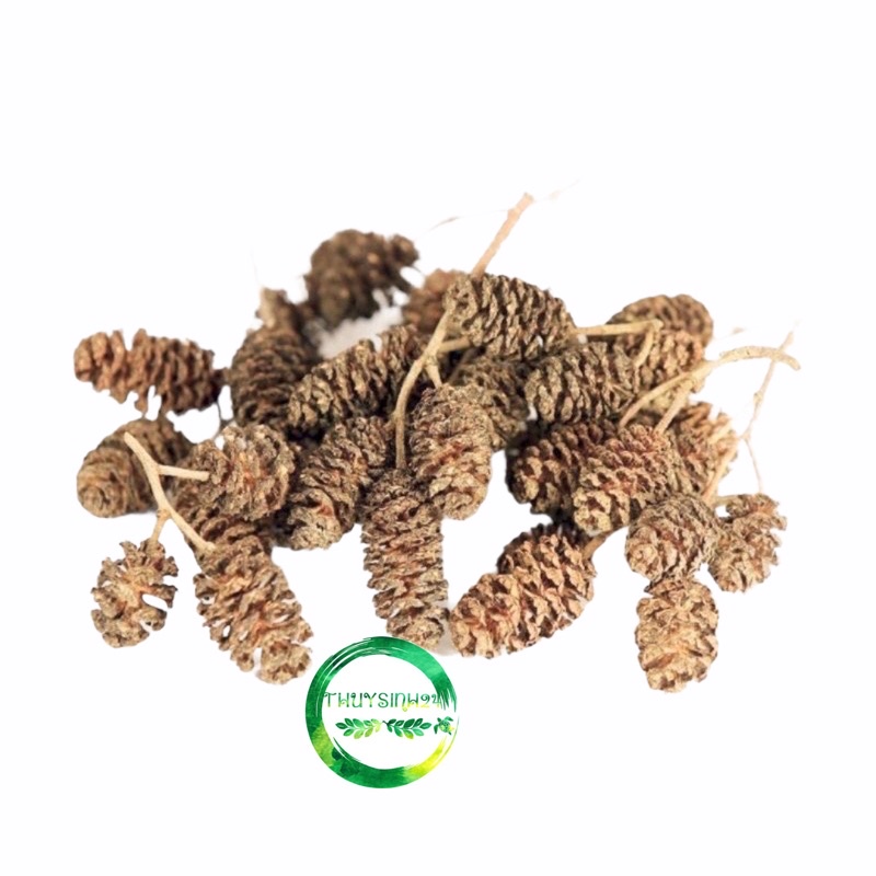 Trái Thông Khô ALDER CONES (Erlenzaphen) - Quả thông giúp tép giảm stress - phụ kiện tép