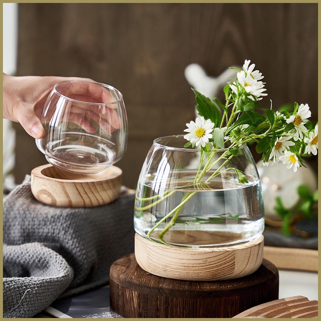 Bình Hoa Thủy Canh Trong Suốt Có Đế Sinh Thái Trang Trí Bể Cá paca3vn