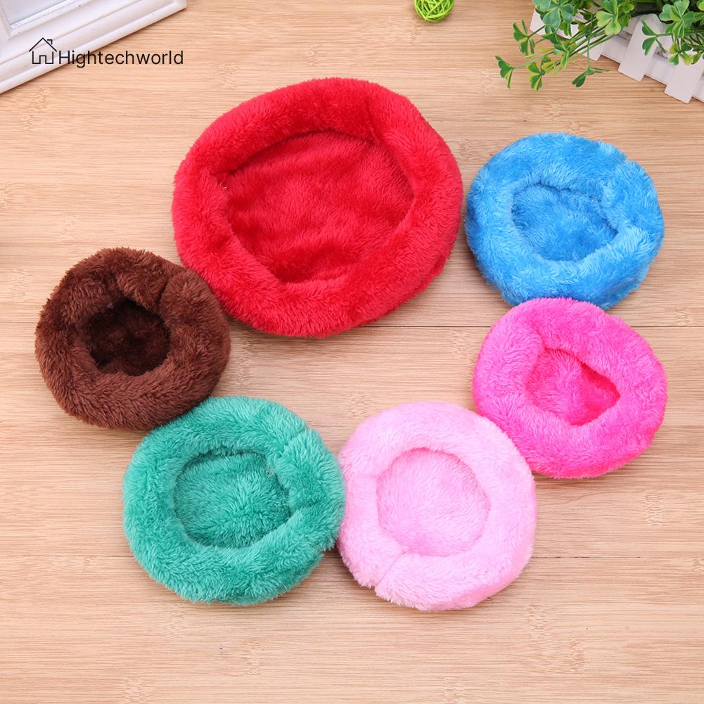 Chuột Hamster Bett Xinh Xắn Đáng Yêu