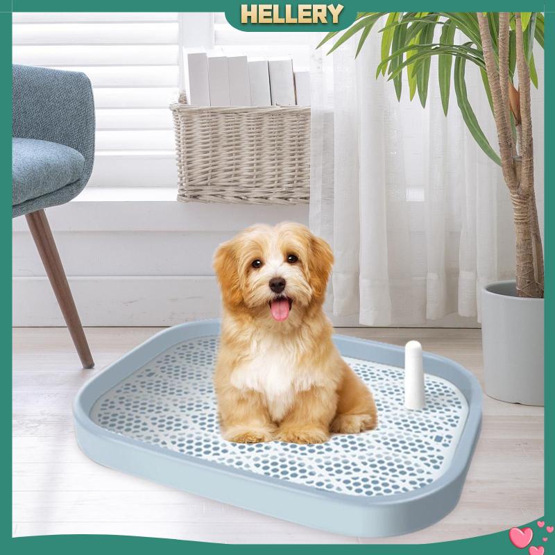 Khay Đi Vệ Sinh Có Giá Đỡ Huấn Luyện Thú Cưng