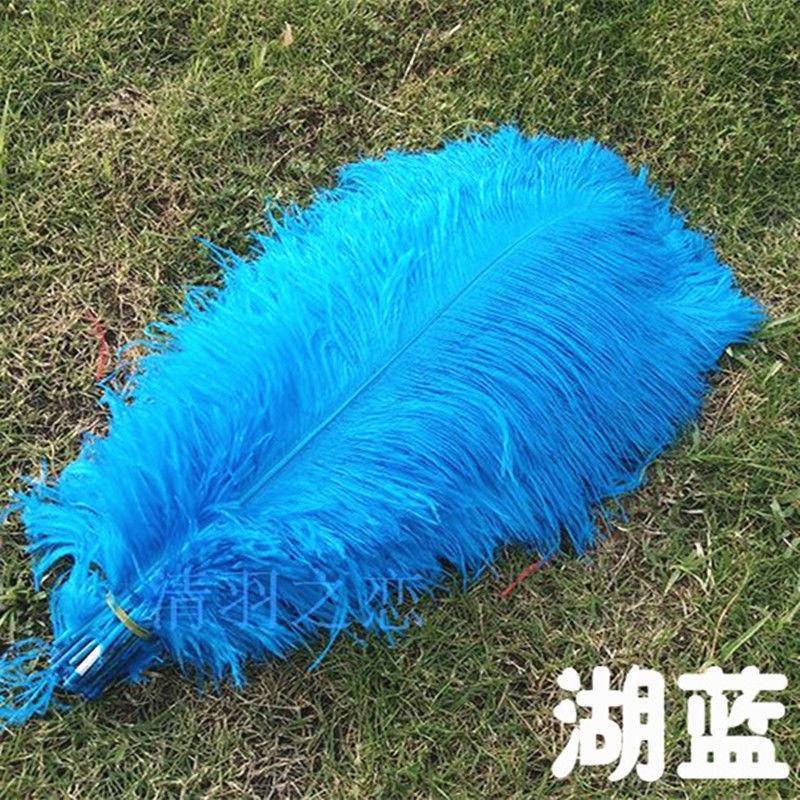 Lông Đà Điểu Dài 35-40CM Bằng Lông Vũ Dùng Làm Đồ Trang Sức / Trang Trí Tiệc Cưới / Giáng Sinh