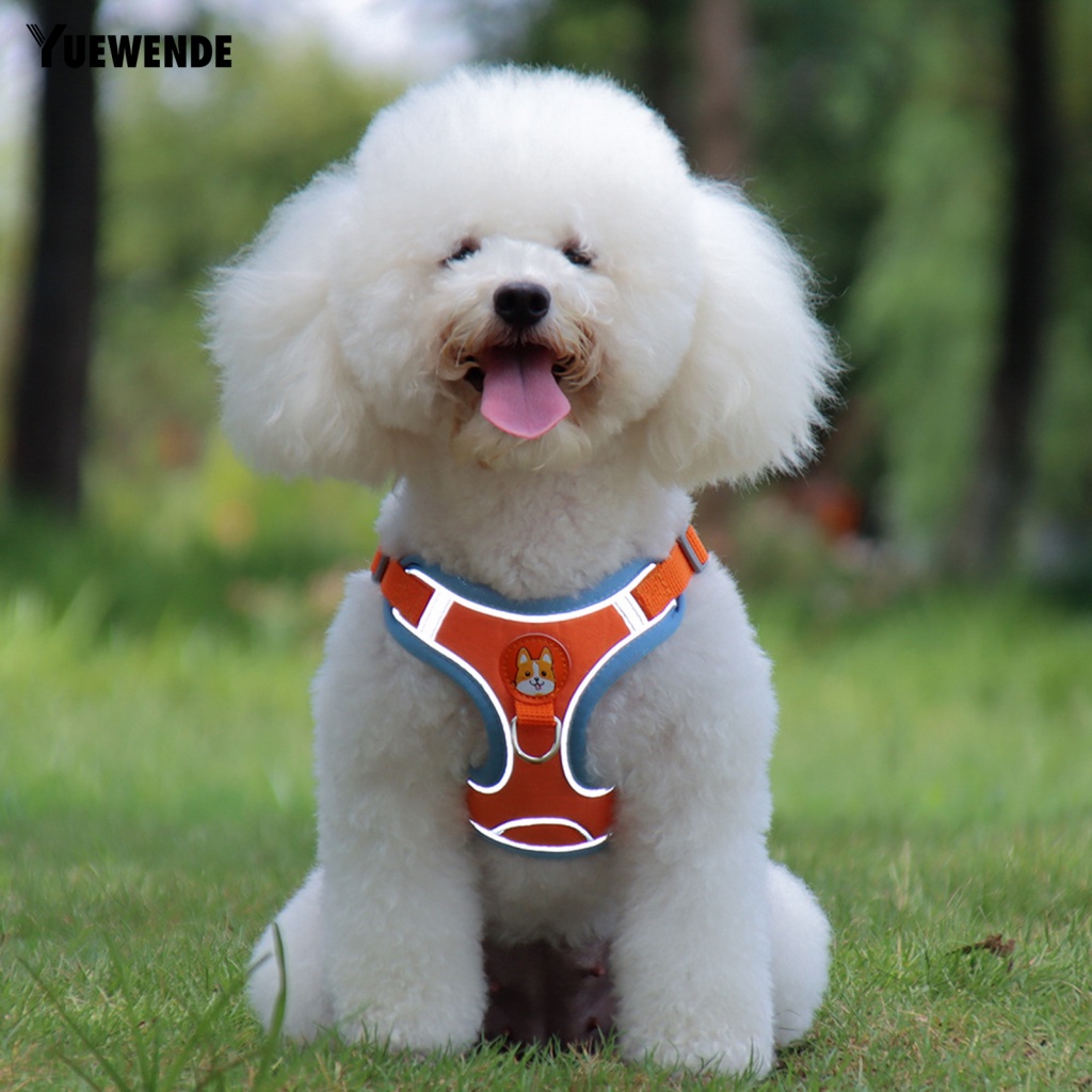 Set 2 Dây Dắt Thú Cưng Đi Dạo Thân Thiện Với Môi Trường Màu Sắc Tương Phản