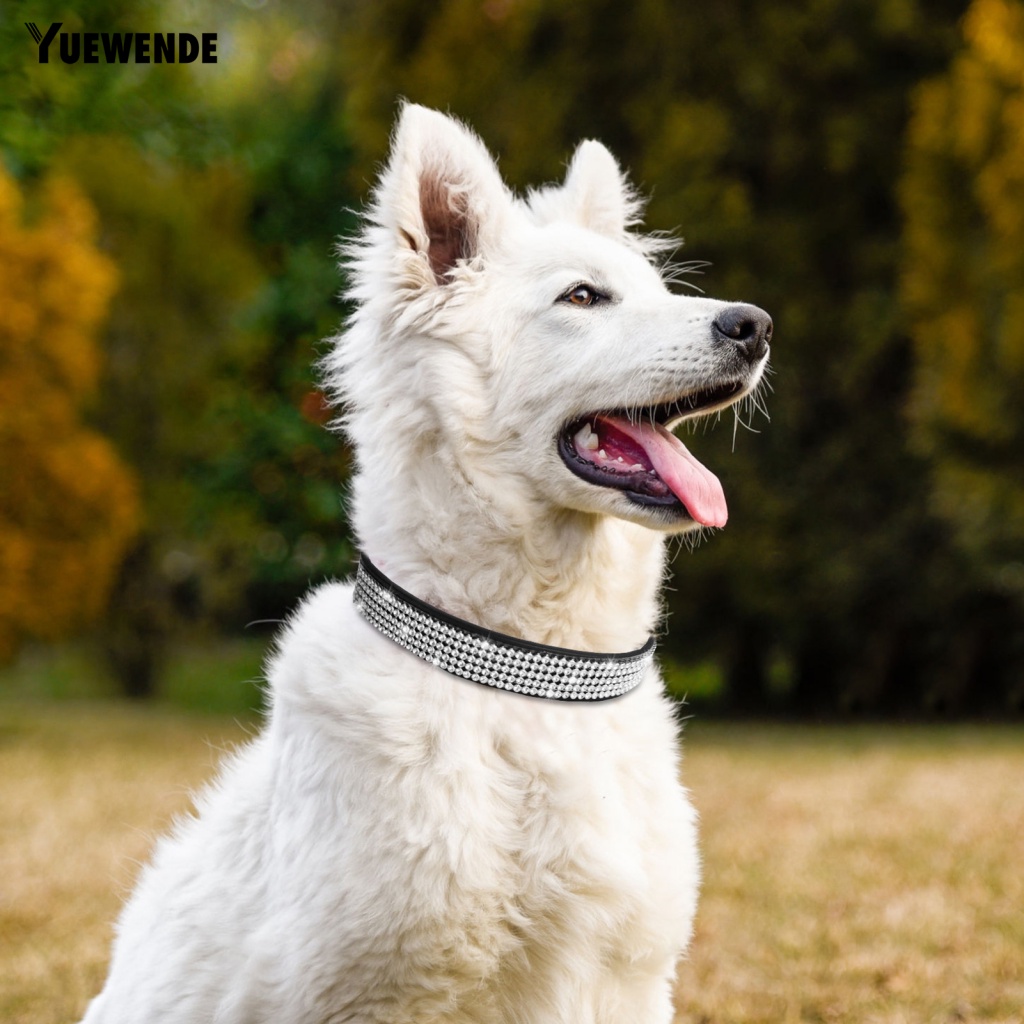 Vòng Cổ Thú Cưng Unisex Chống Mài Mòn