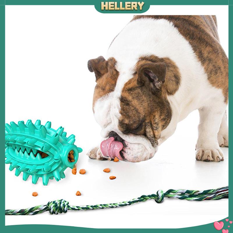 Đồ Chơi Cho Thú Cưng Gặm Giúp Tương Tác Cao Cấp