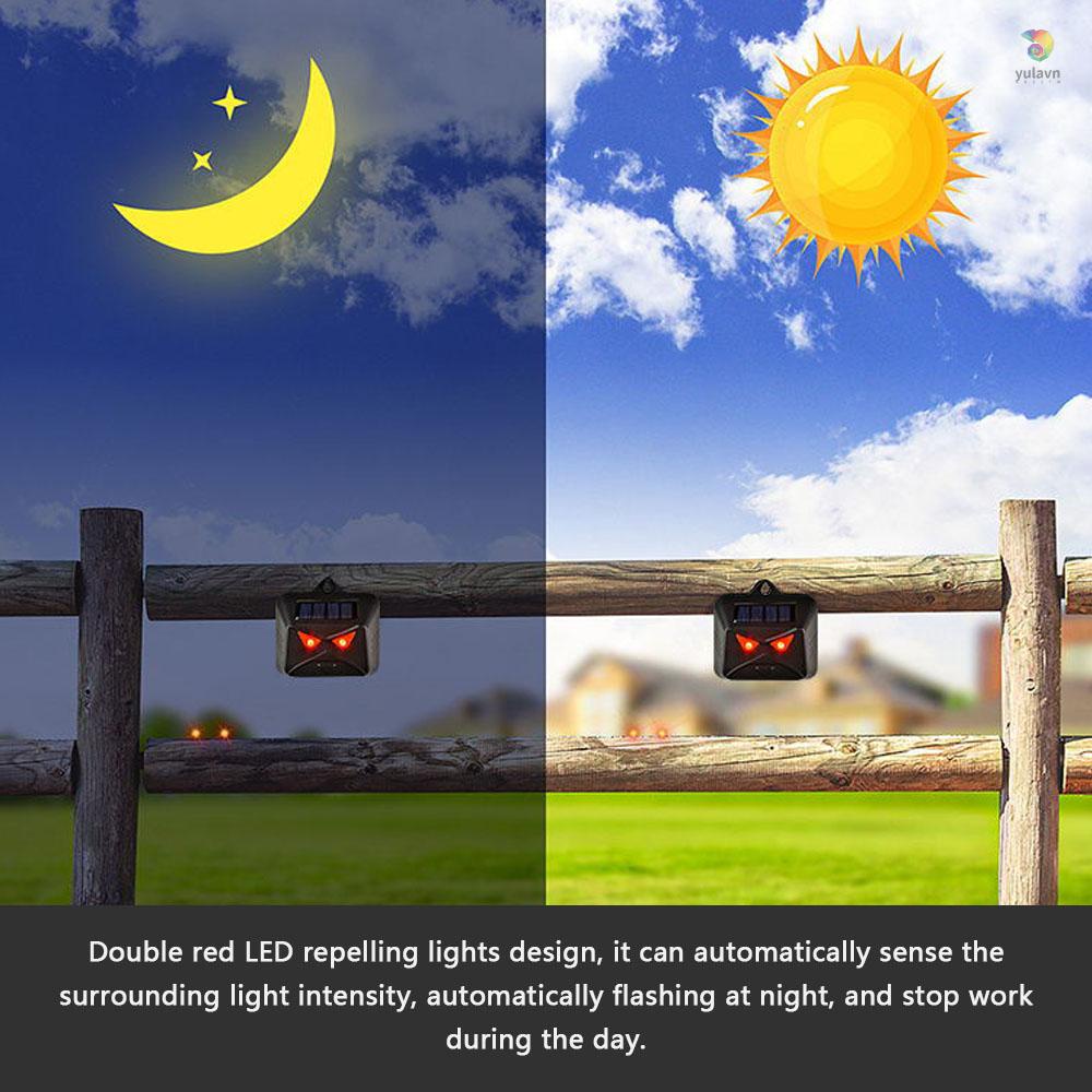 Thiết Bị Đuổi Chim Bằng Đèn LED Sử Dụng Năng Lượng Mặt Trời Nhiều Lần Tiện Dụng