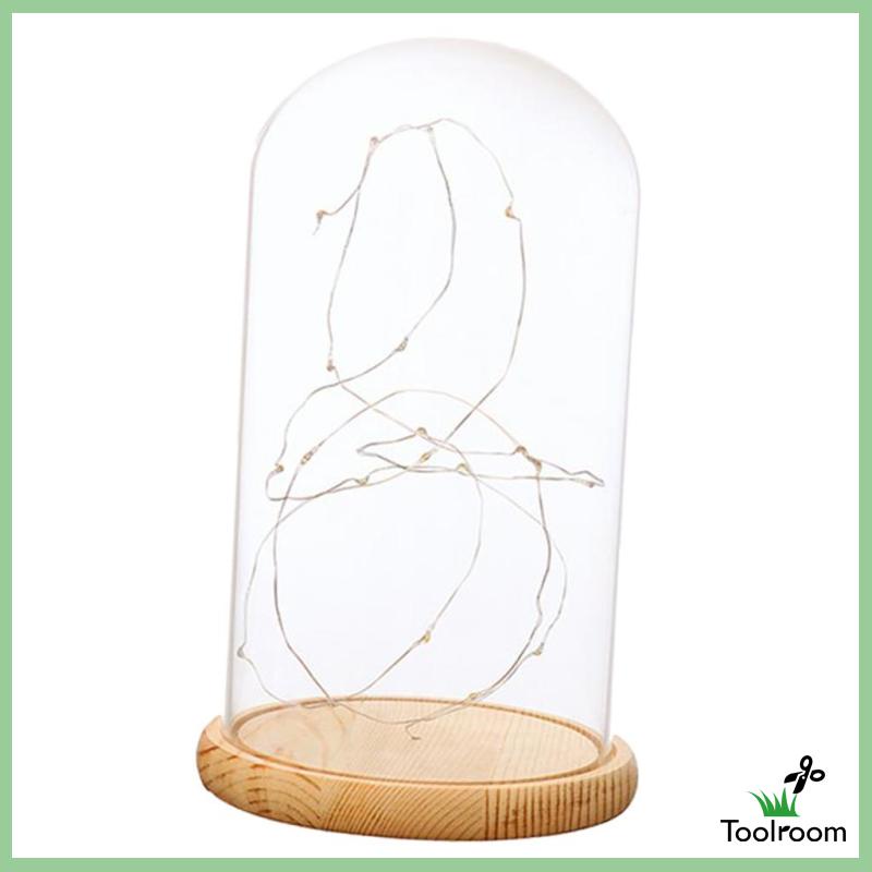 [Toolroom] Đèn LED Kính Cloche Để Bàn Chạy Bằng Pin A