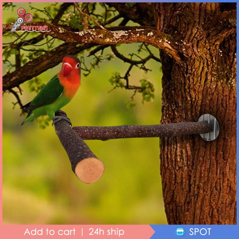 Giá Đỡ Đứng Bằng Gỗ 1 Cái Cho Vẹt