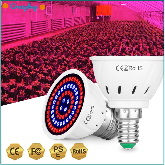 Cr Đèn Led Trồng Cây 80 Hạt Trong Nhà