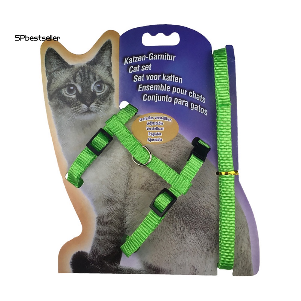 Dây DẫN Thú Cưng Đi DạO