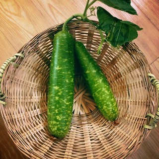 Bầu - 500g