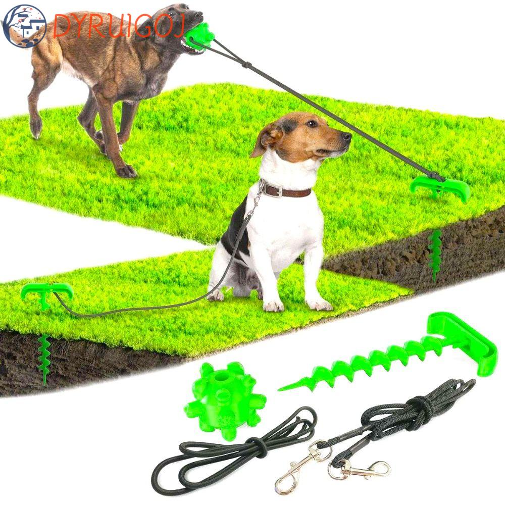 Đồ Chơi Dây Thừng DYRUIDOJ Hút Chân Không Đựng Thức Ăn Gặm Làm Sạch Răng Đa Chức Năng Cho Cún Cưng