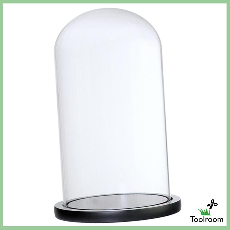 Giá Đỡ Cloche Mini Có Nắp Đậy Dùng Trang Trí Phong Cảnh