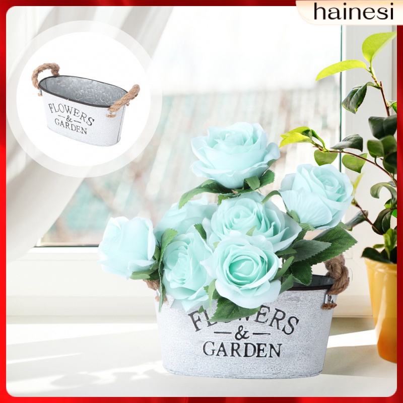 Chậu Hoa Bằng Thiếc Phong Cách Pháp Độc Đáo Trang Trí Nhà Cửa