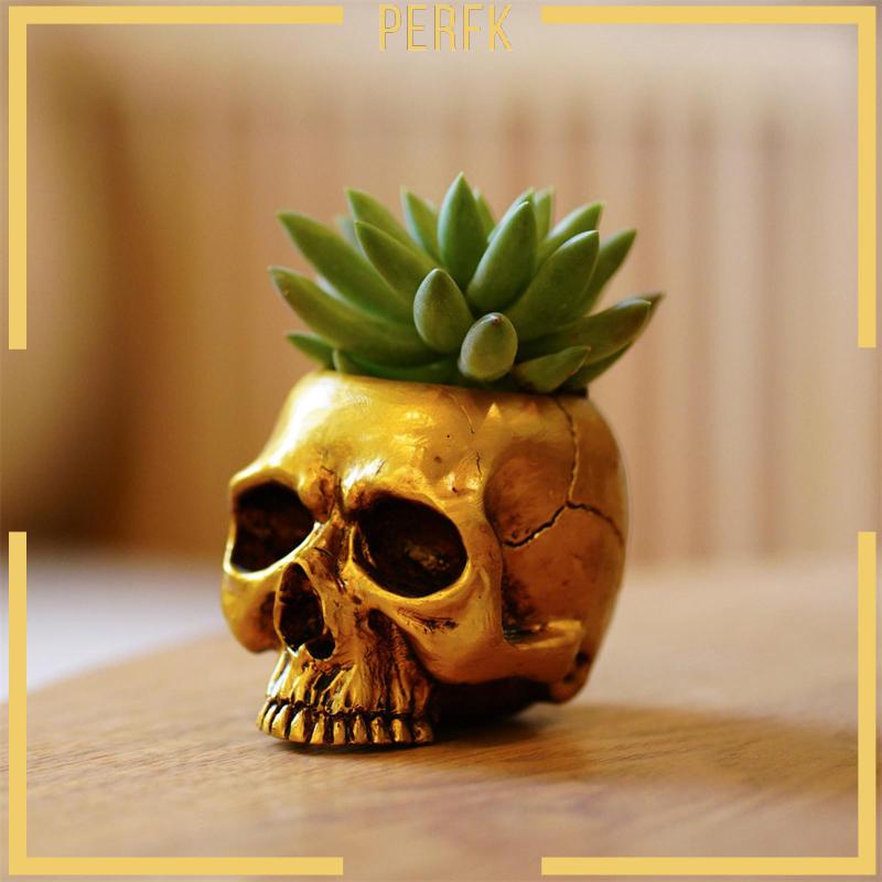 Chậu Hoa Mini Trang Trí Sân Vườn / Văn Phòng