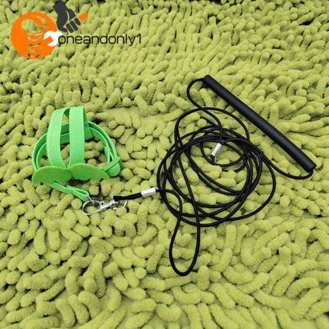 Dây Đai Dắt Chim Vẹt Đi Dạo Siêu Nhẹ Tùy Chỉnh Kèm Tay Cầm Thoải Mái Tiện Dụng