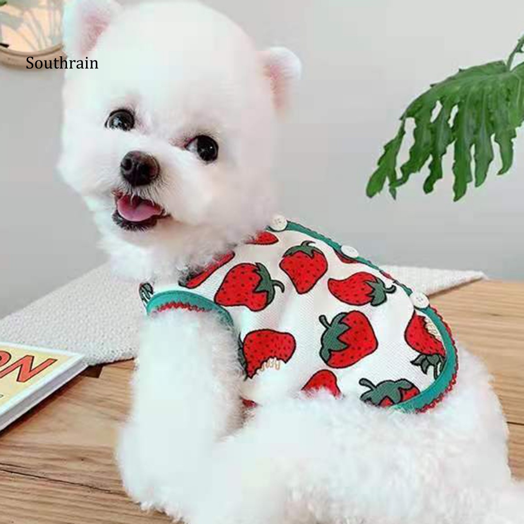 Bộ Đồ Hóa Trang Họa Tiết Dâu Tây Hoạt Hình Giữ Ấm Cho Cún Cưng