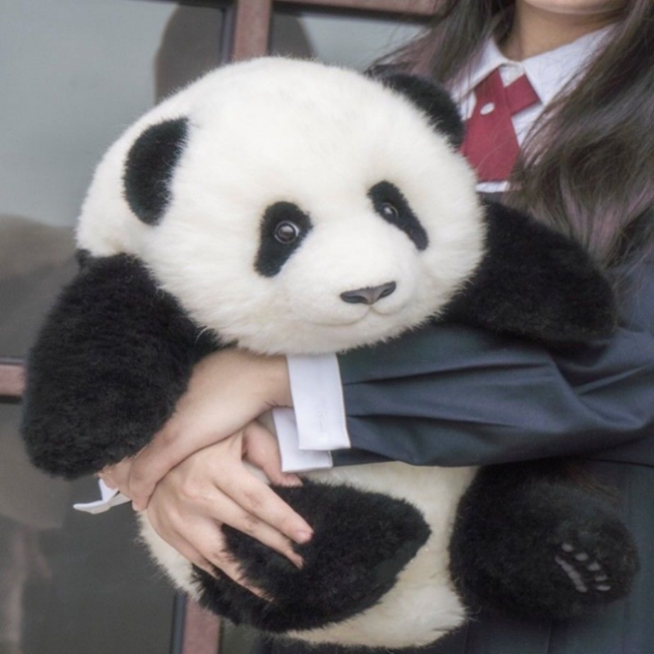 Thú Nhồi Bông Hình Gấu Trúc Huahua 24H