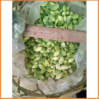 1Kg Mướp Đắng ( Khổ Qua ) Sấy Khô
