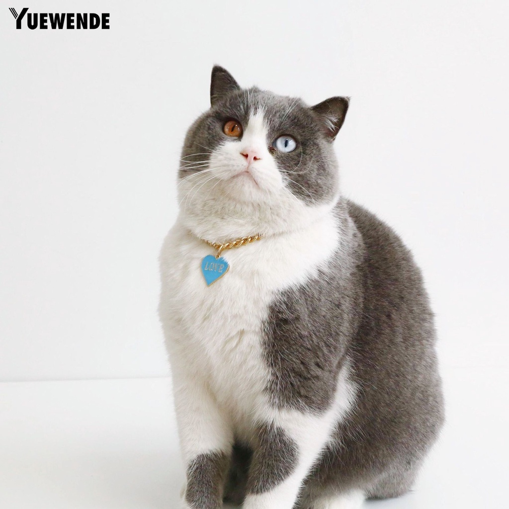 Yq.e Vòng Cổ Xích Chó Bull Pháp Lấp Lánh Không Mài Mòn Phong Cách Hip-Hop Cá Tính Có Mặt Dây Chuyền Trang Trí Trái Tim