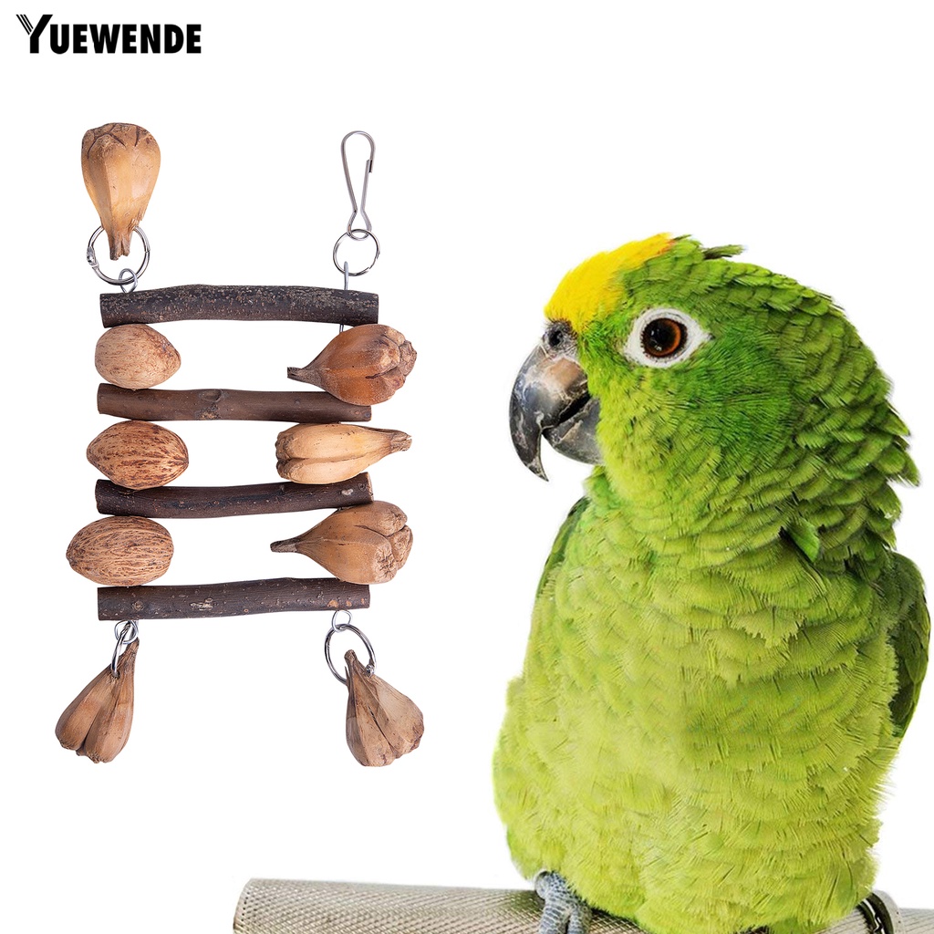 Đồ Chơi Tháo Lắp Linh Hoạt Chống Trầy Xước An Toàn Cho Vẹt Macaw