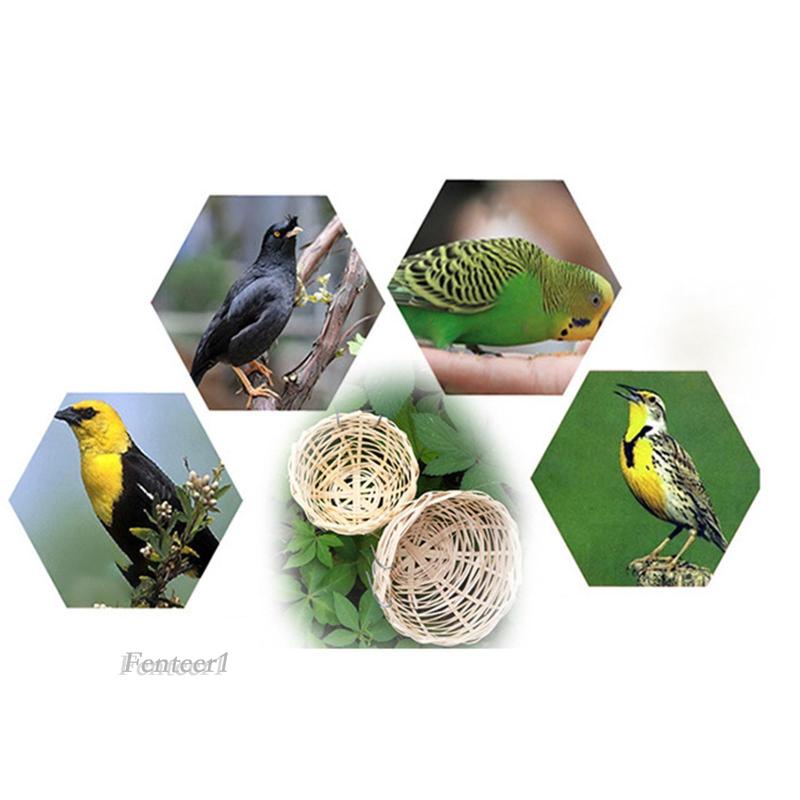 Tổ Chim Đan Bằng Tay Tự Nhiên Fenteer1